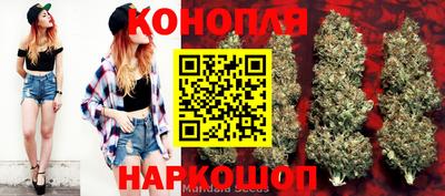 дурь Бийск