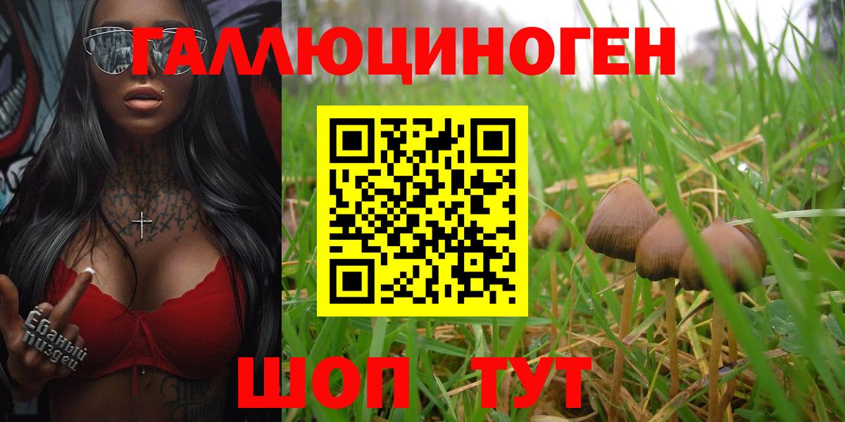 Псилоцибиновые грибы ЛСД Калининград